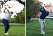 What’s wrong with Scottie Scheffler? Brandel Chamblee has a theory