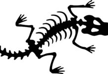 Streamsong’s new course has a name that honors what lies beneath