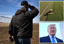 American farmers struggle with higher prices from Iran war, tariffs: ‘Double whammy’