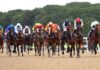Lingfield and Newcastle feature on Thursday