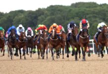 Lingfield and Newcastle feature on Thursday