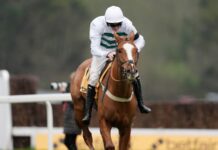 Mondo Man overcomes last-flight drama in Imperial Cup