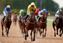Azure Angel and Equality clash at Southwell