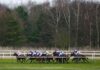 Southwell and Wolverhampton host Monday racing