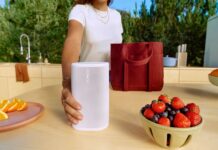 Best Buy Canada seemingly just leaked Sonos’ next portable speaker