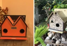 At 74, This Nagpur Man Has Made Over 2700 Sparrow Nests From Discarded Wedding Cards