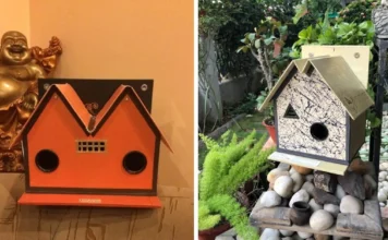 At 74, This Nagpur Man Has Made Over 2700 Sparrow Nests From Discarded Wedding Cards