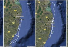 How Tamil Nadu Is Making Its Coast Safer for Olive Ridley Turtles to Nest