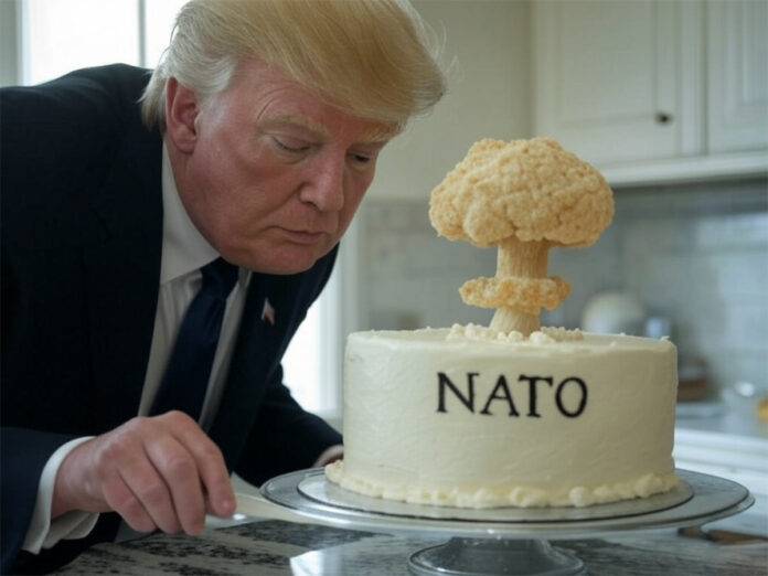 trump-icing-on-the-cake-NATO.jpg