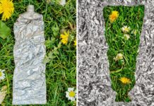 Why Are Vegan Beauty Brands Struggling to Survive?