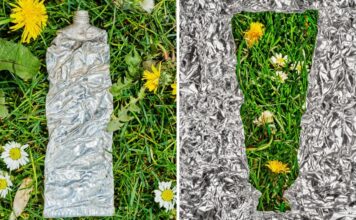 Why Are Vegan Beauty Brands Struggling to Survive?