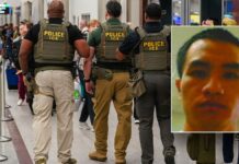 Fugitive illegal alien convict on the run after attempting to strike ICE officer with vehicle: DHS