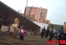 Pyongsong crackdown leaves shelves bare as North Korea pushes state commerce drive