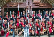 Could a Tribal Forest Remedy From Nagaland Help Fight Cancer?