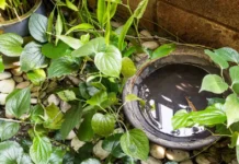 Parents From Chennai To Mumbai Share Tried-and-Tested Ways To Protect Kids From Mosquitoes