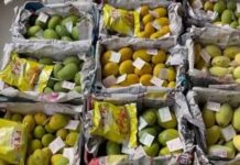 FSSAI asks States, UTs to intensify crackdown on using calcium carbide to ripen fruits