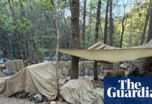 Cattle breed whose ancestors lived with Celts added to priority at-risk list