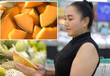 Thousands of cantaloupes recalled over salmonella concerns