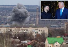 Ukraine pitches naming coveted Donbas section ‘Donnyland’ to honor Trump’s aid against Russia: report