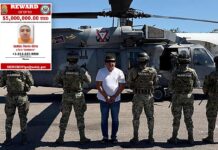 Top Jalisco cartel leader ‘El Jardinero’ arrested in Mexico