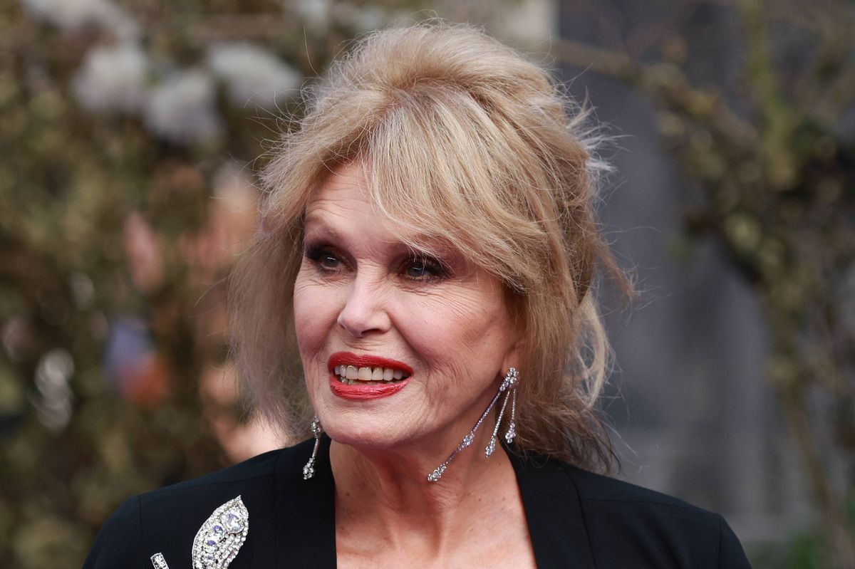 Joanna Lumley ‘targeted by masked motorbike thugs who tried to steal her car’