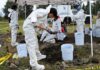 Over 1,000 bone fragments found in Mexico City ahead of World Cup