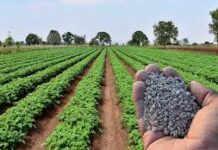 India Expected To Grow At 6.3 pc If Oil Price Averages $130/barrel This Fiscal