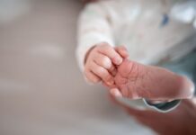 Today in Germany: A roundup of the latest news on Wednesday