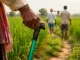 Built in India, This Simple Smart Stick Warns Farmers of Hidden Snakes From 100 Metres Away
