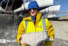 Boats to rock pools: Marine makeover for yacht club seawall