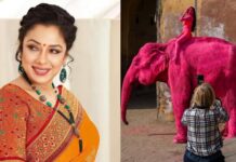 Rupali Ganguly Urges PM Narendra Modi To Ban Elephant Rides After ‘Pink’ Elephant Chanchal’s Death