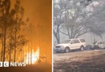 Hundreds of wildfires burn across Florida and Georgia