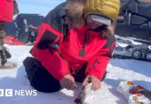 What does it take to survive in the Arctic? These rangers have an idea