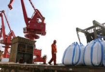 War on Iran could trigger global famine – charity founder