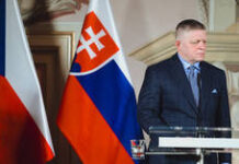 Slovakia to sue EU over Russian gas ban