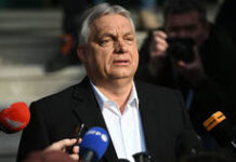 Soros has ‘taken over’ Hungary – Musk