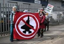 US senators fail to halt Trump’s arms sales to Israel