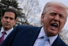 Netanyahu ‘alarmed’ by Trump’s Lebanon move – Axios