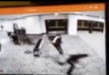 ‘Pedophile, rapist, and traitor’: What Trump dinner gunman wrote in his manifesto