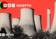 Move over wind farms: why some argue cutting costs is the best way to cut carbon