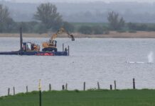 ‘Free Timmy!’: How a beached whale has gripped and divided Germany