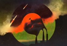 The Iran War Is Impacting the Environment in Unseen Ways