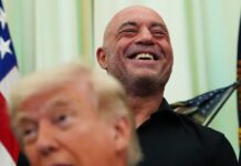 Trump speeds review of psychedelics after Joe Rogan texted him about ibogaine. ‘Sounds great. Do you want FDA approval? Let’s do it’