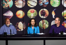 Biologists Confirm Not Much Evolution Happened Today