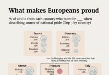 Inside Germany: The AfD’s army of staunch supporters – in Nigeria