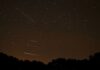 How to Watch the 2026 Lyrids Meteor Shower at Its Peak