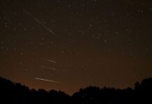 How to Watch the 2026 Lyrids Meteor Shower at Its Peak