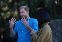 Prince Harry Says Royal Work ‘Killed My Mom’ In Shocking Speech