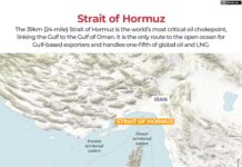 French-owned container ship transits Hormuz Strait in first since Iran war