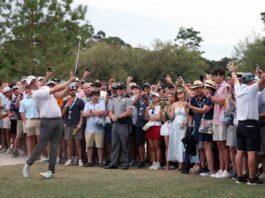 Behind 4-iron stunner, Matt Fitzpatrick tops Scottie Scheffler in RBC Heritage playoff